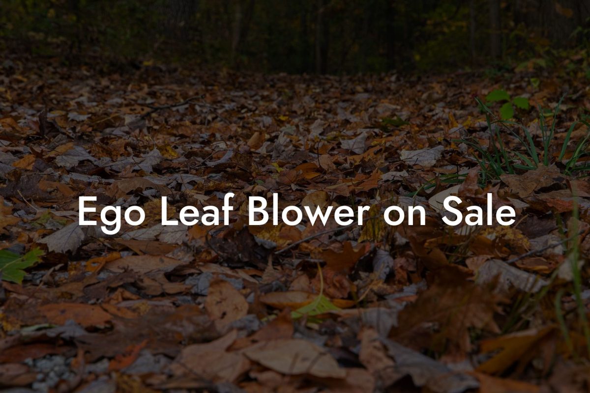 Ego Leaf Blower on Sale