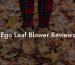 Ego Leaf Blower Reviews