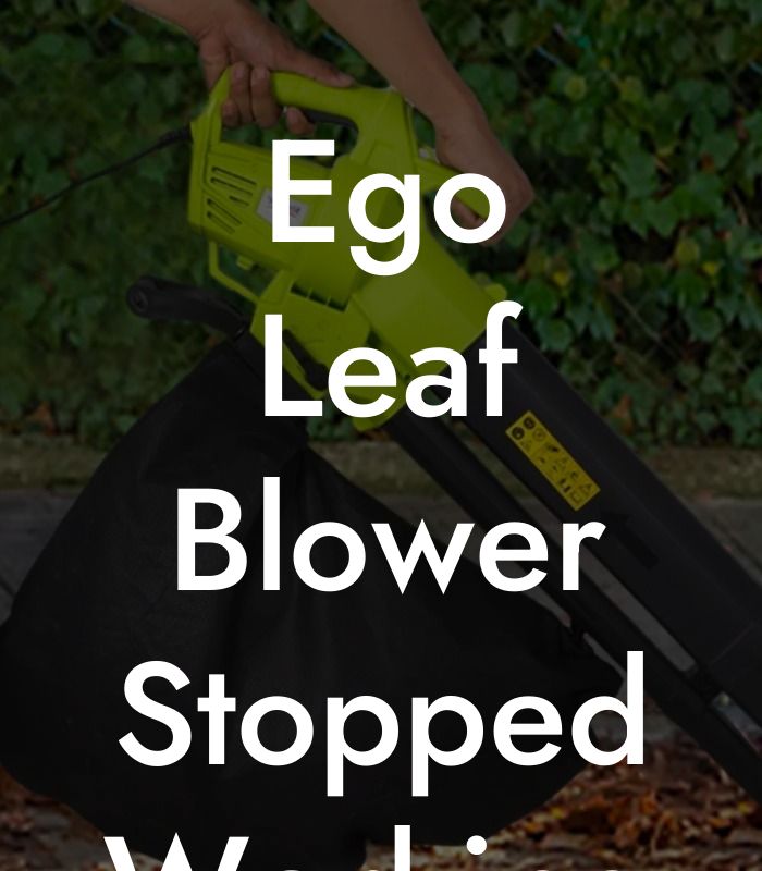 Ego Leaf Blower Stopped Working