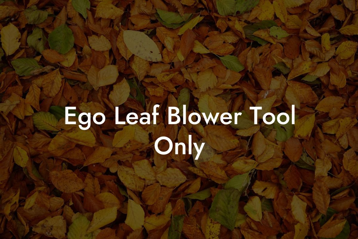 Ego Leaf Blower Tool Only