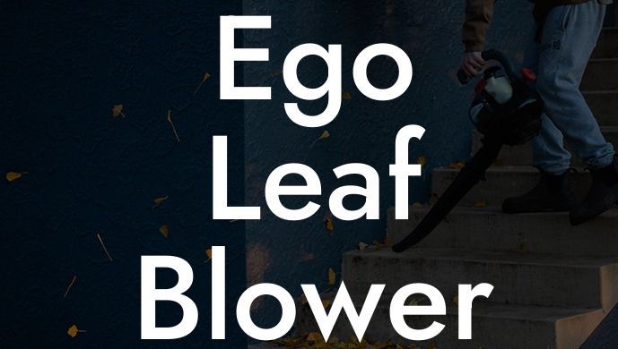 Ego Leaf Blower Vacuum