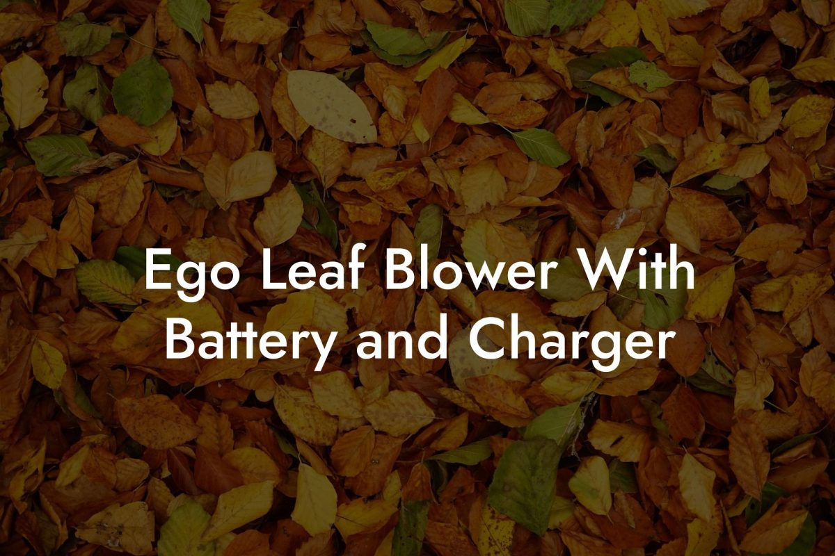 Ego Leaf Blower With Battery and Charger