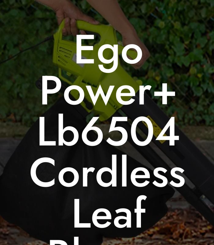 Ego Power+ Lb6504 Cordless Leaf Blower