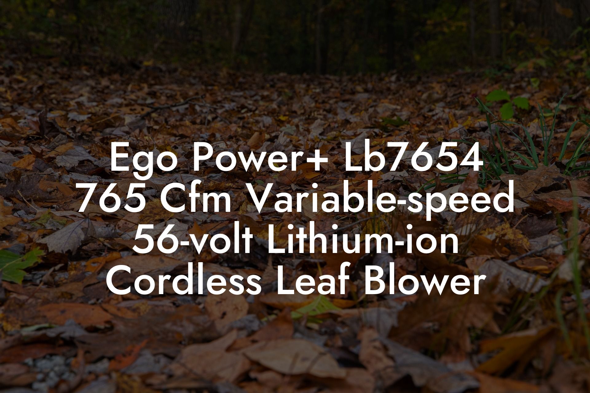 Ego Power+ Lb7654 765 Cfm Variable-speed 56-volt Lithium-ion Cordless Leaf Blower