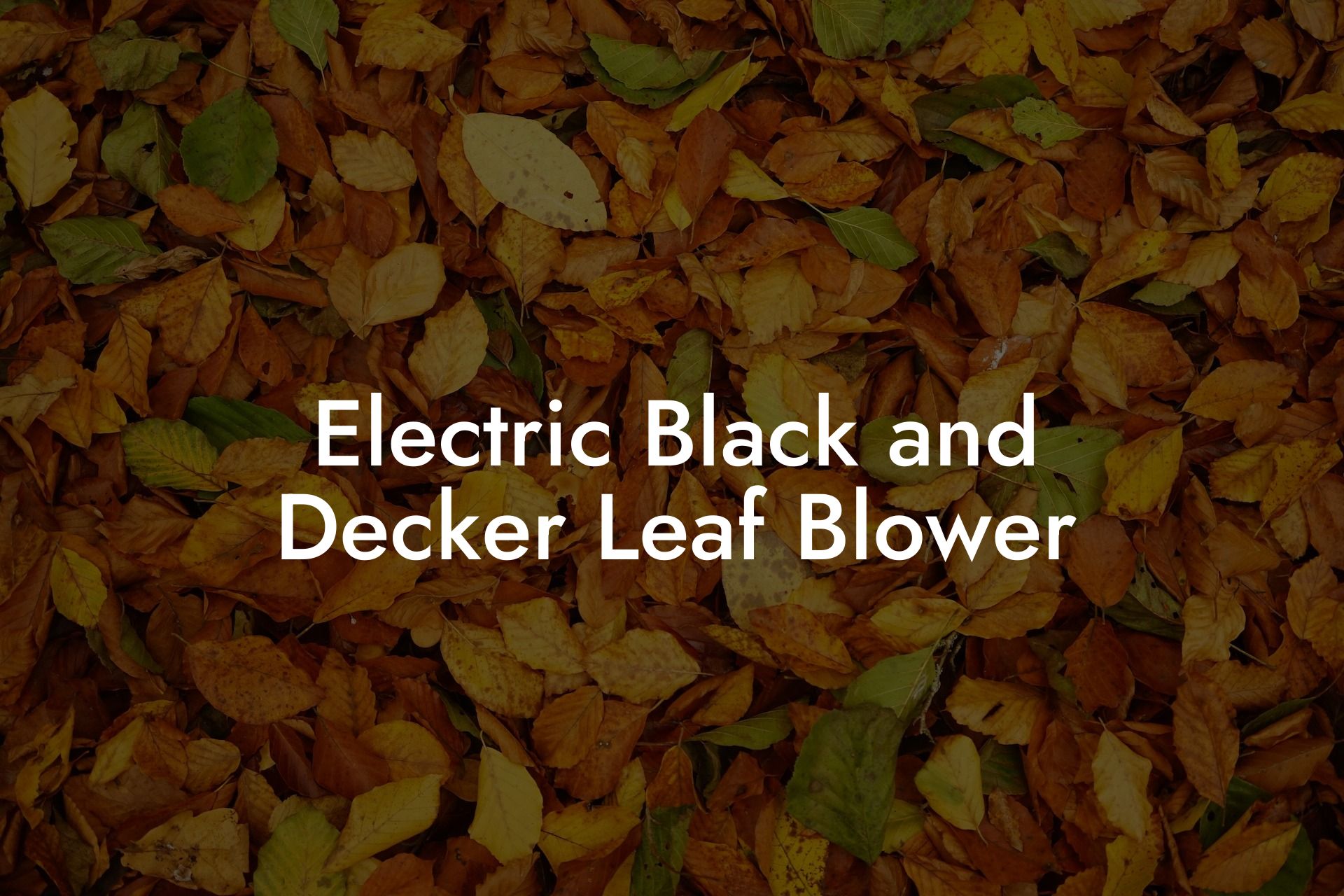 Electric Black and Decker Leaf Blower