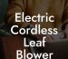 Electric Cordless Leaf Blower