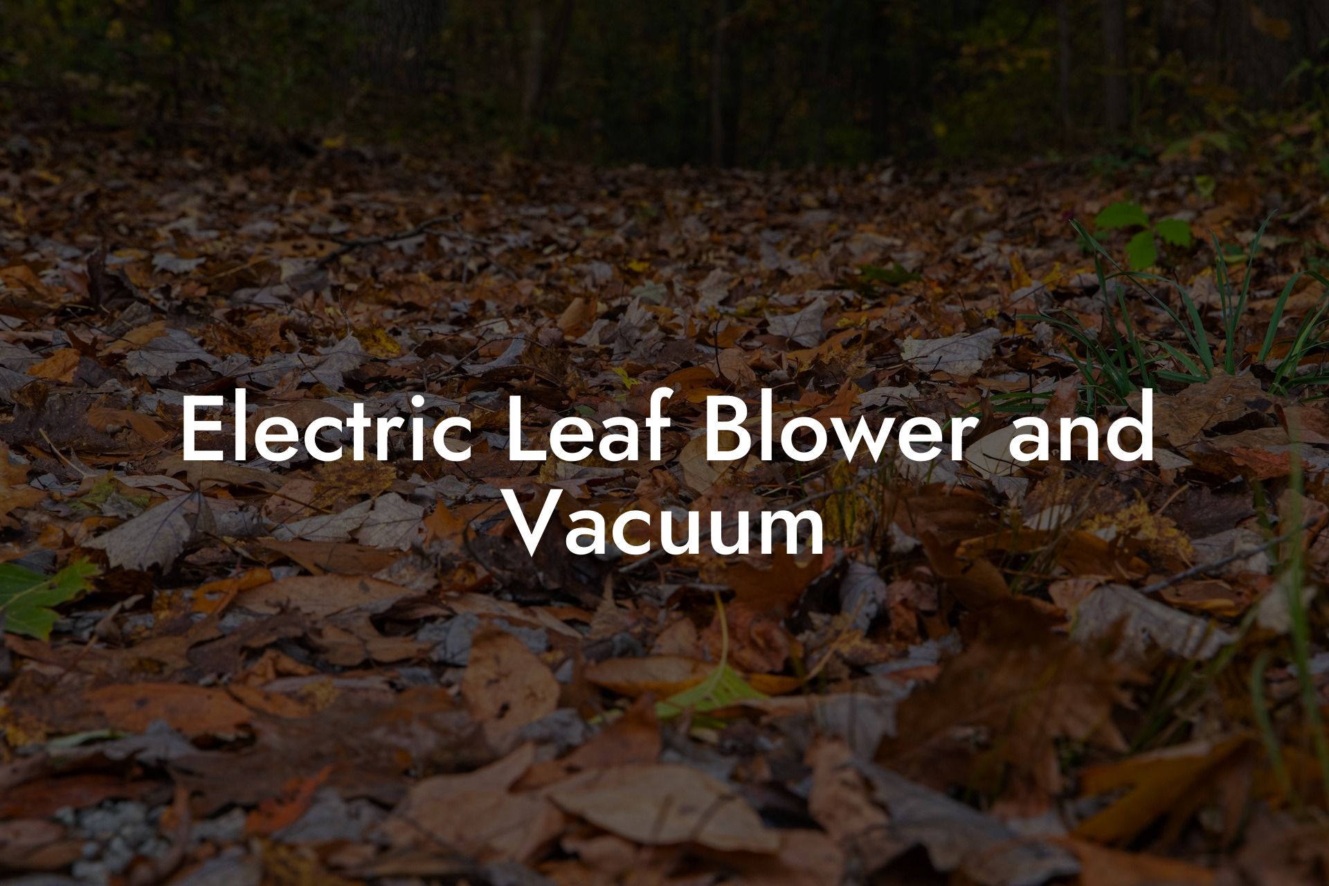 Electric Leaf Blower and Vacuum