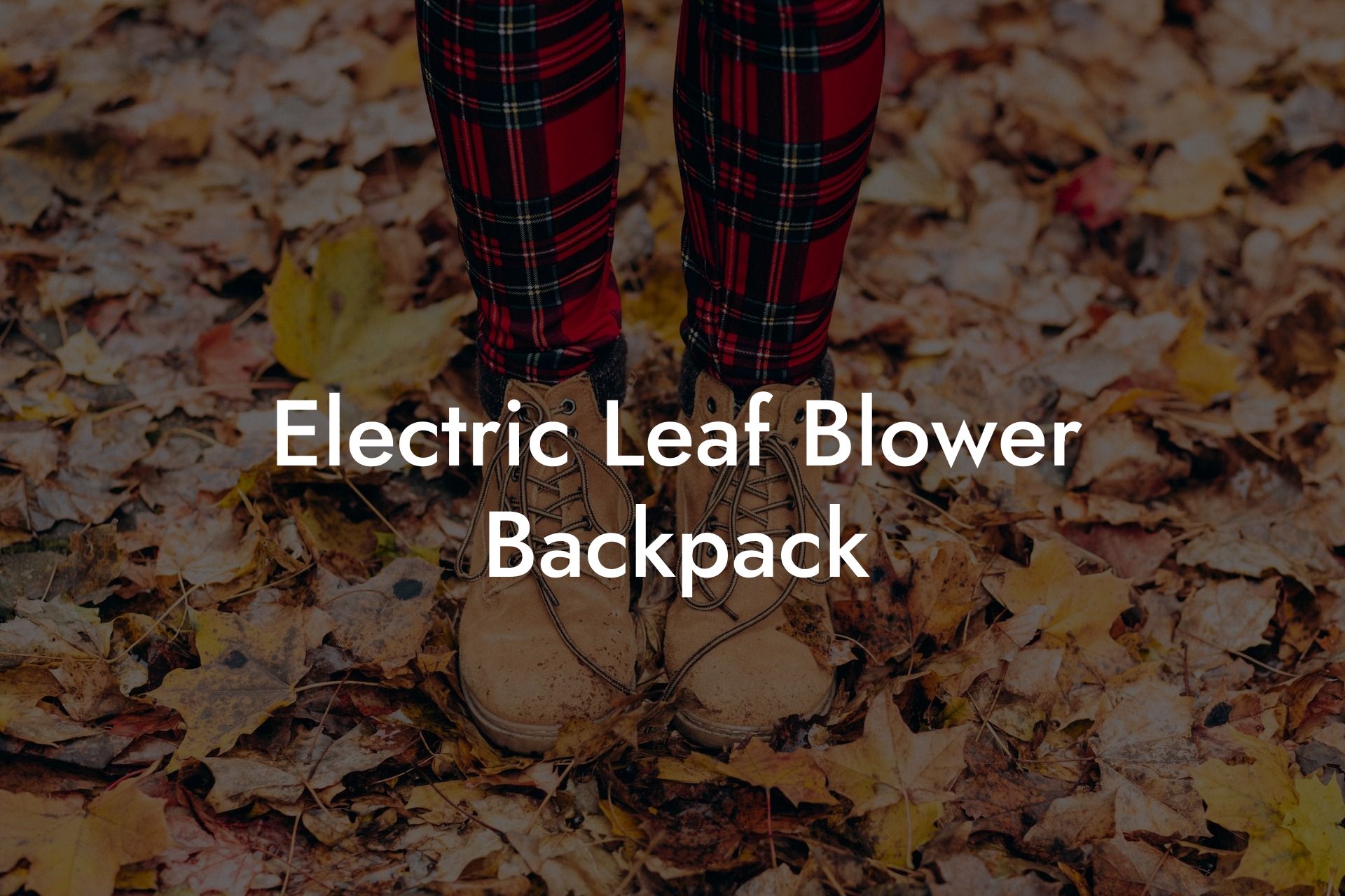 Electric Leaf Blower Backpack