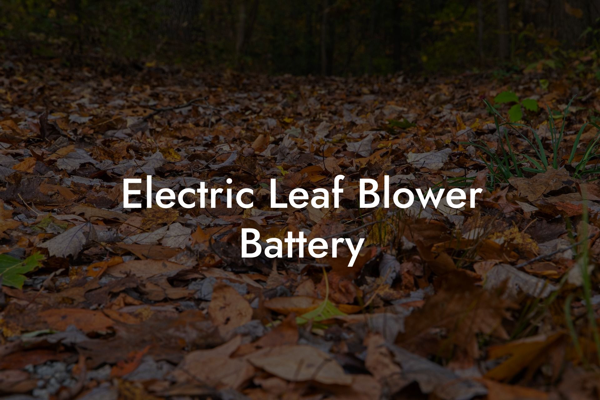 Electric Leaf Blower Battery