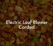 Electric Leaf Blower Corded