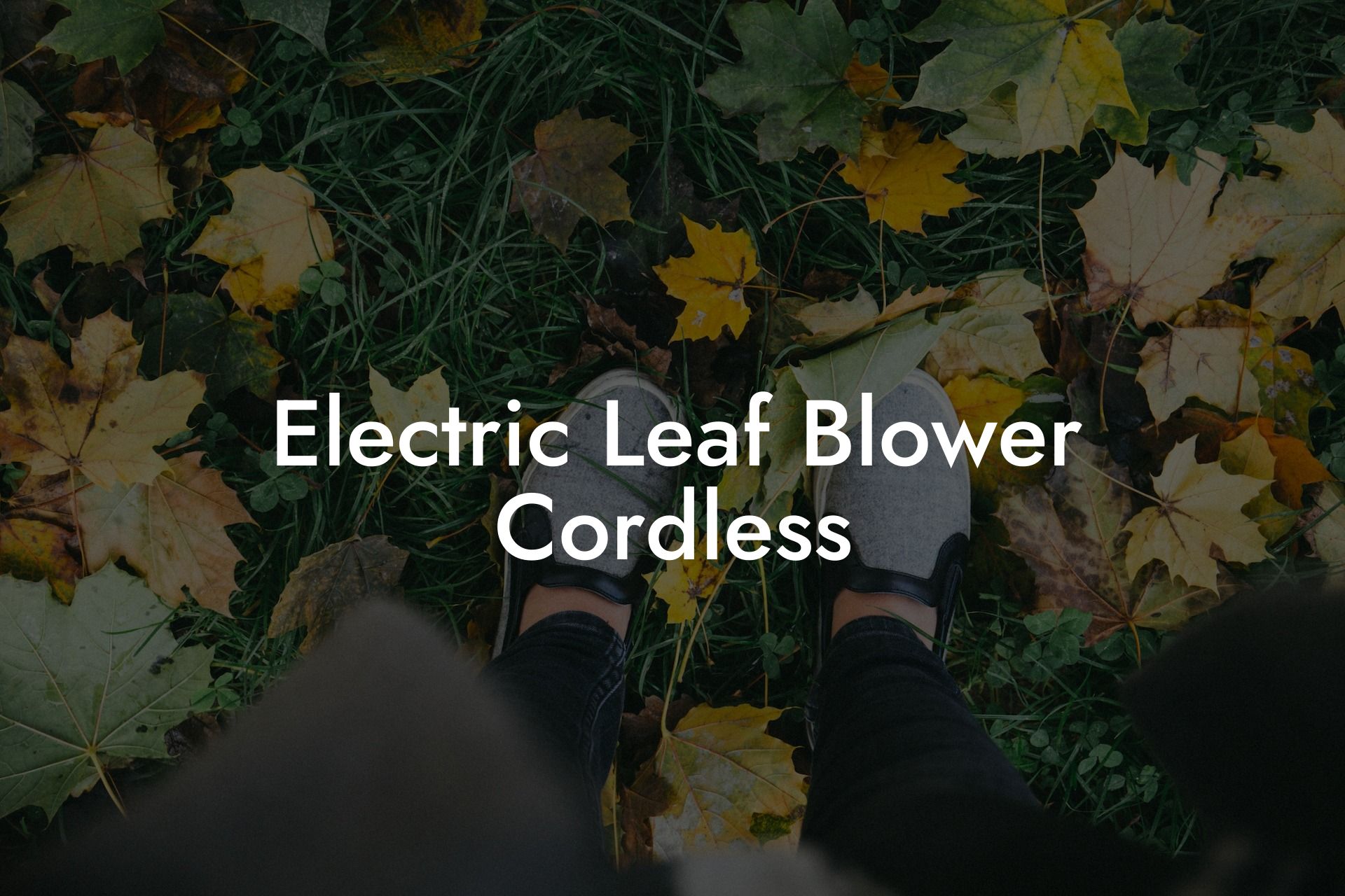 Electric Leaf Blower Cordless