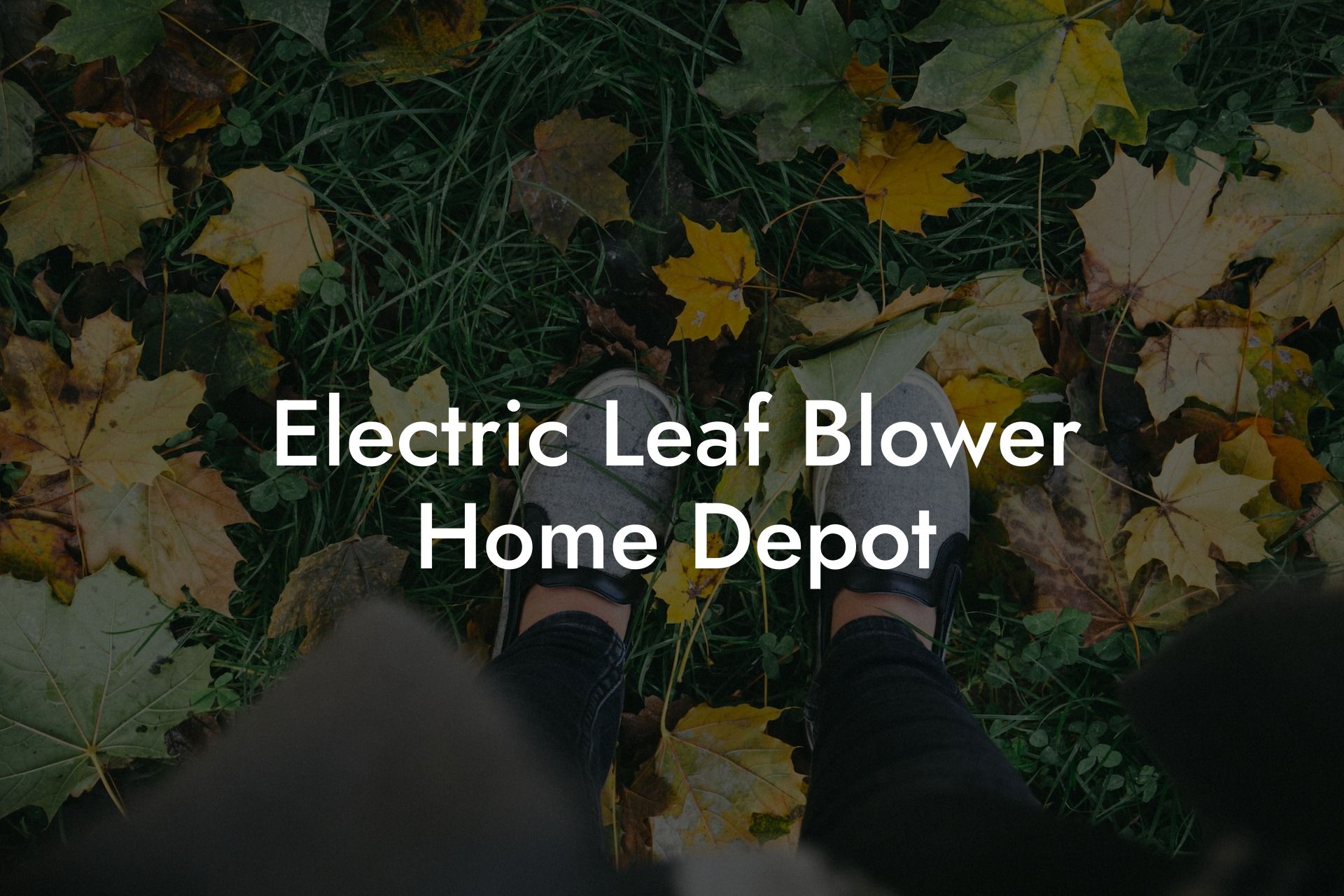 Electric Leaf Blower Home Depot