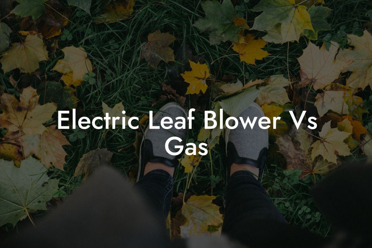 Electric Leaf Blower Vs Gas