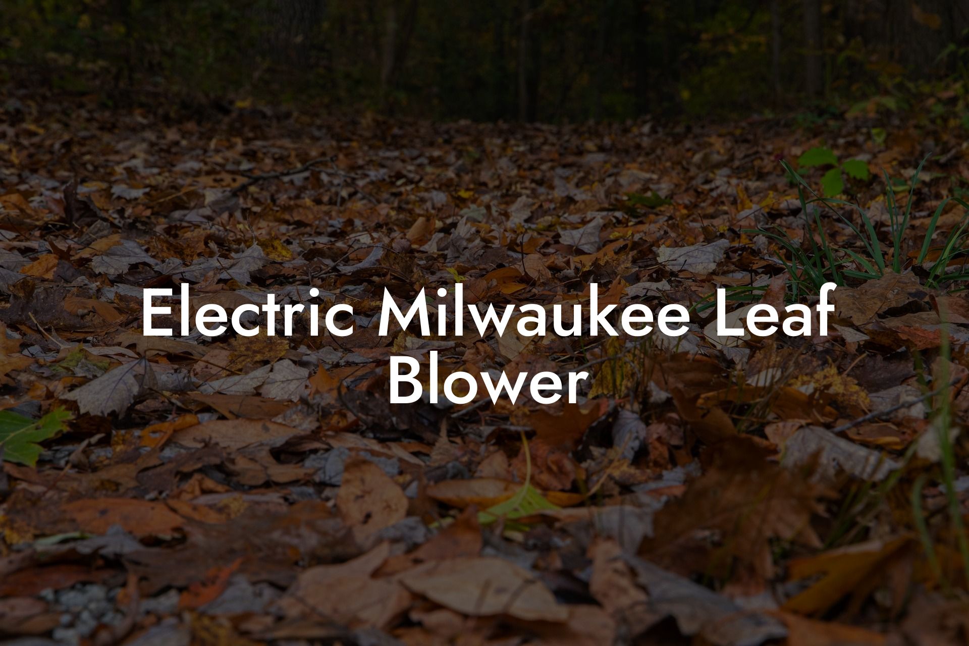 Electric Milwaukee Leaf Blower