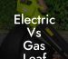 Electric Vs Gas Leaf Blower