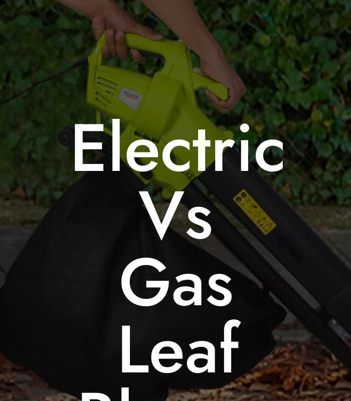 Electric Vs Gas Leaf Blower