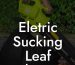 Eletric Sucking Leaf Blower