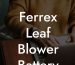 Ferrex Leaf Blower Battery