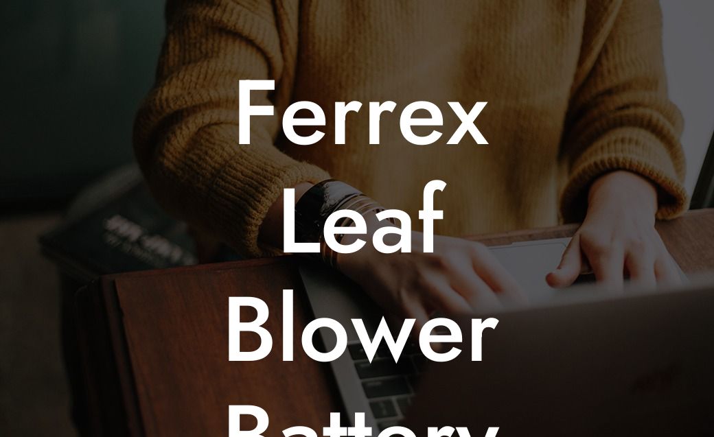 Ferrex Leaf Blower Battery