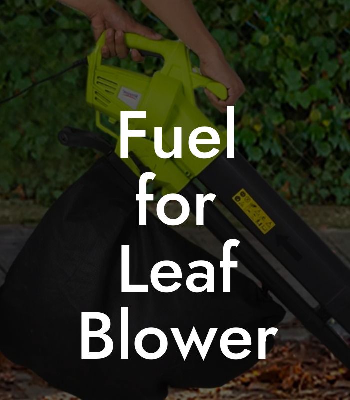 Fuel for Leaf Blower