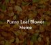 Funny Leaf Blower Meme