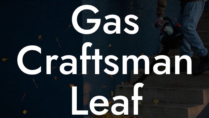 Gas Craftsman Leaf Blower