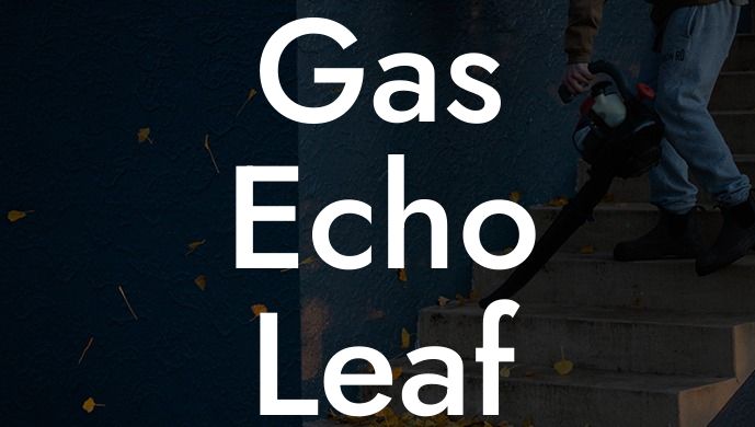 Gas Echo Leaf Blower