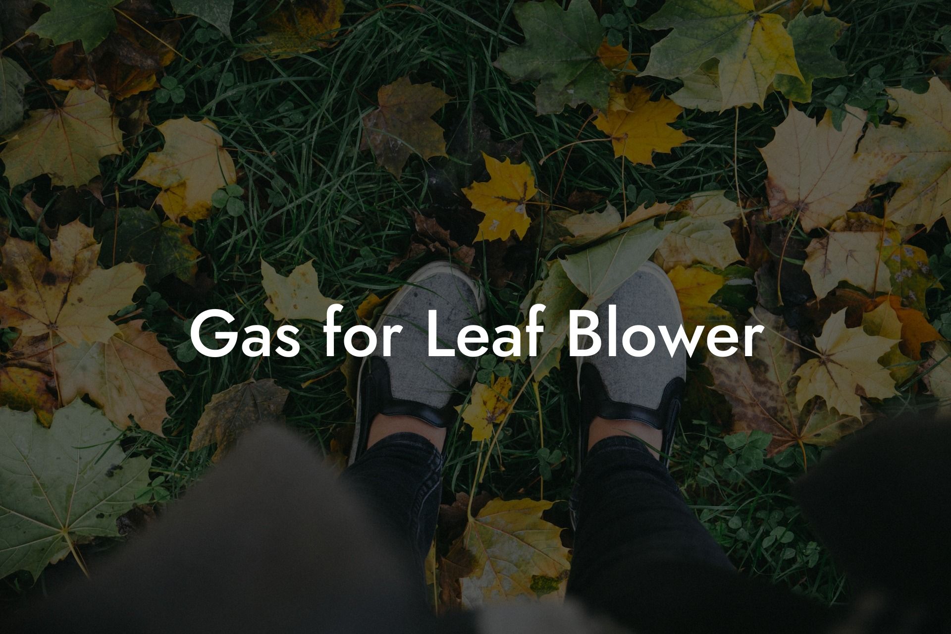 Gas for Leaf Blower