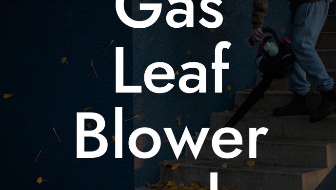 Gas Leaf Blower and Vacuum