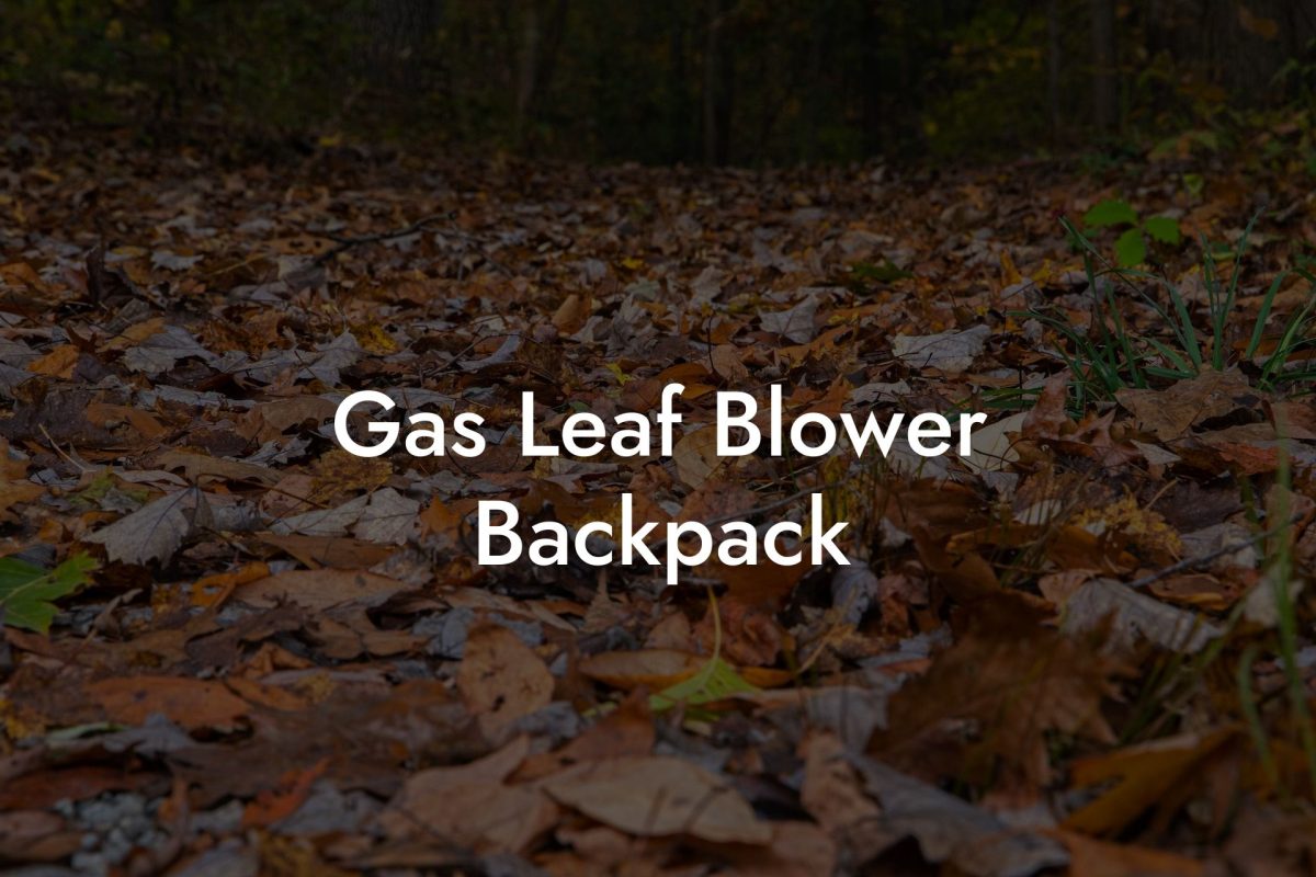 Gas Leaf Blower Backpack