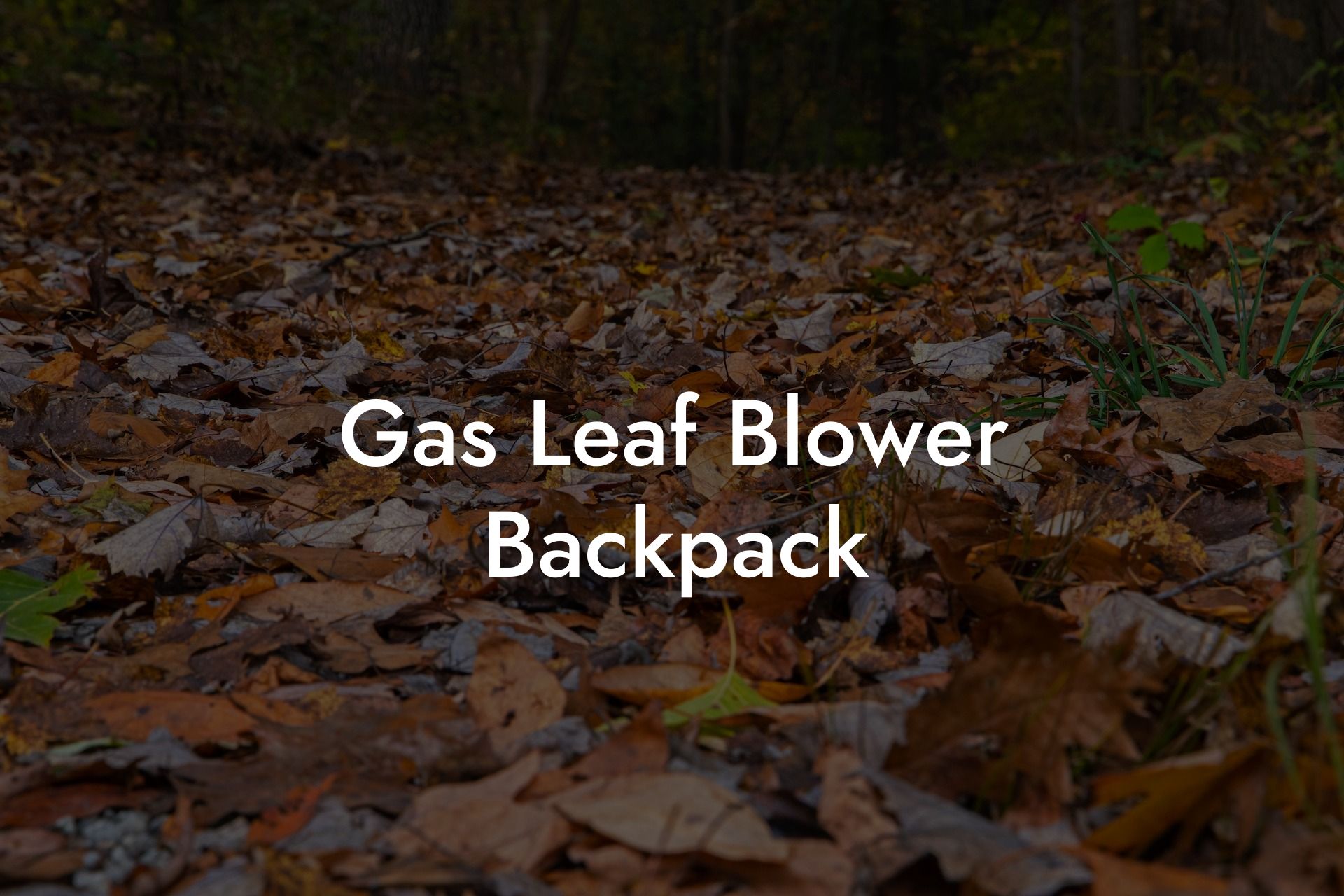 Gas Leaf Blower Backpack