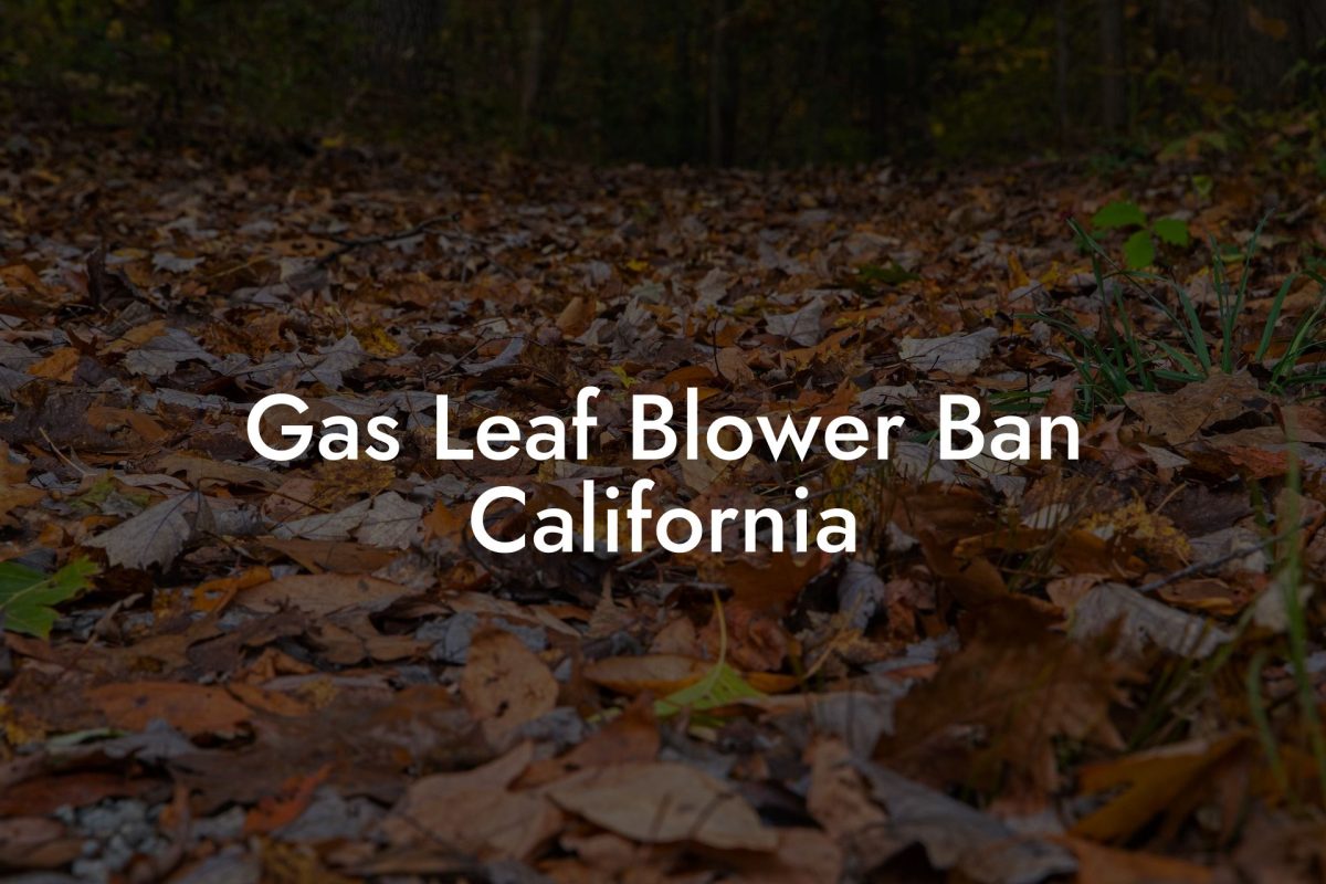 Gas Leaf Blower Ban California