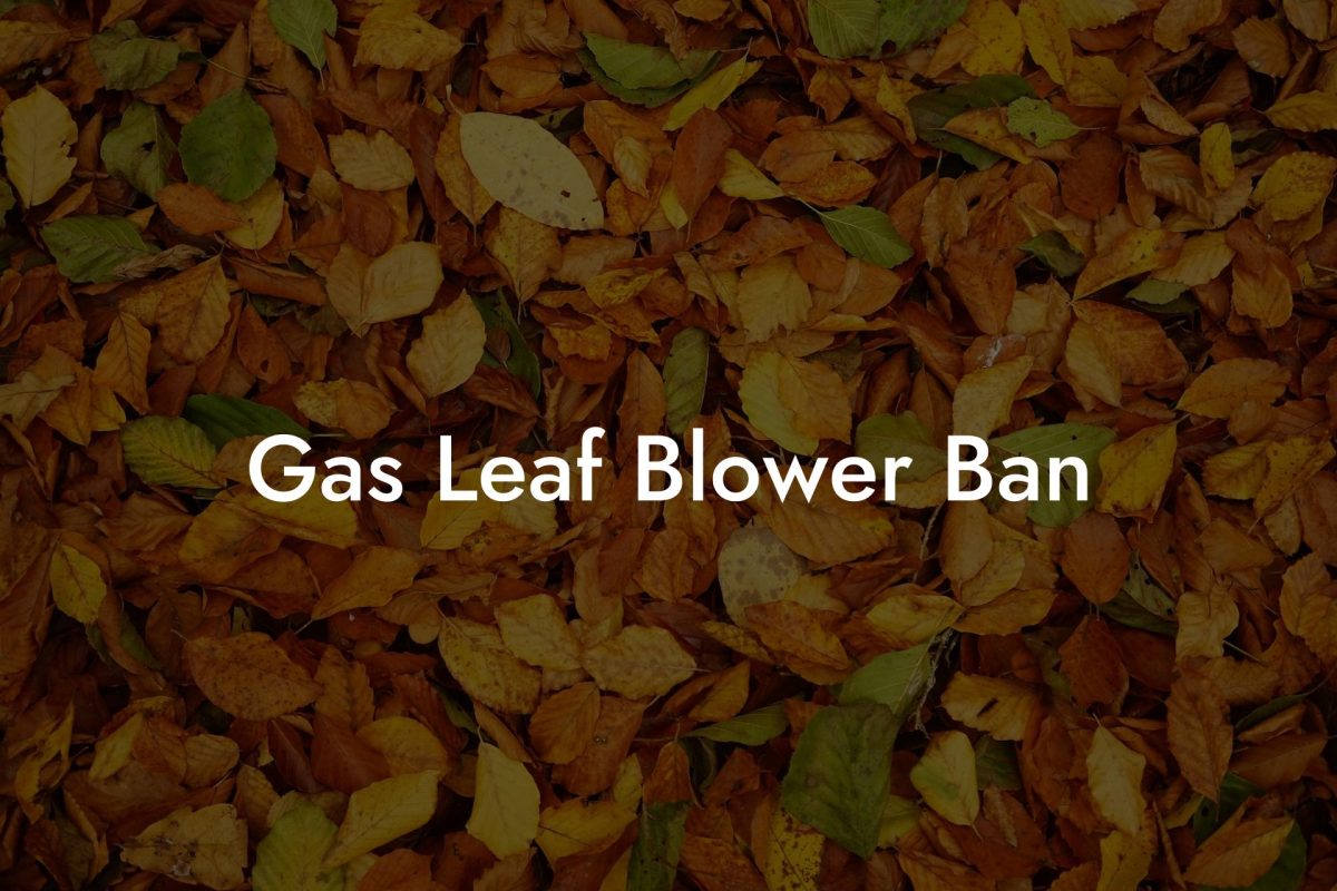 Gas Leaf Blower Ban