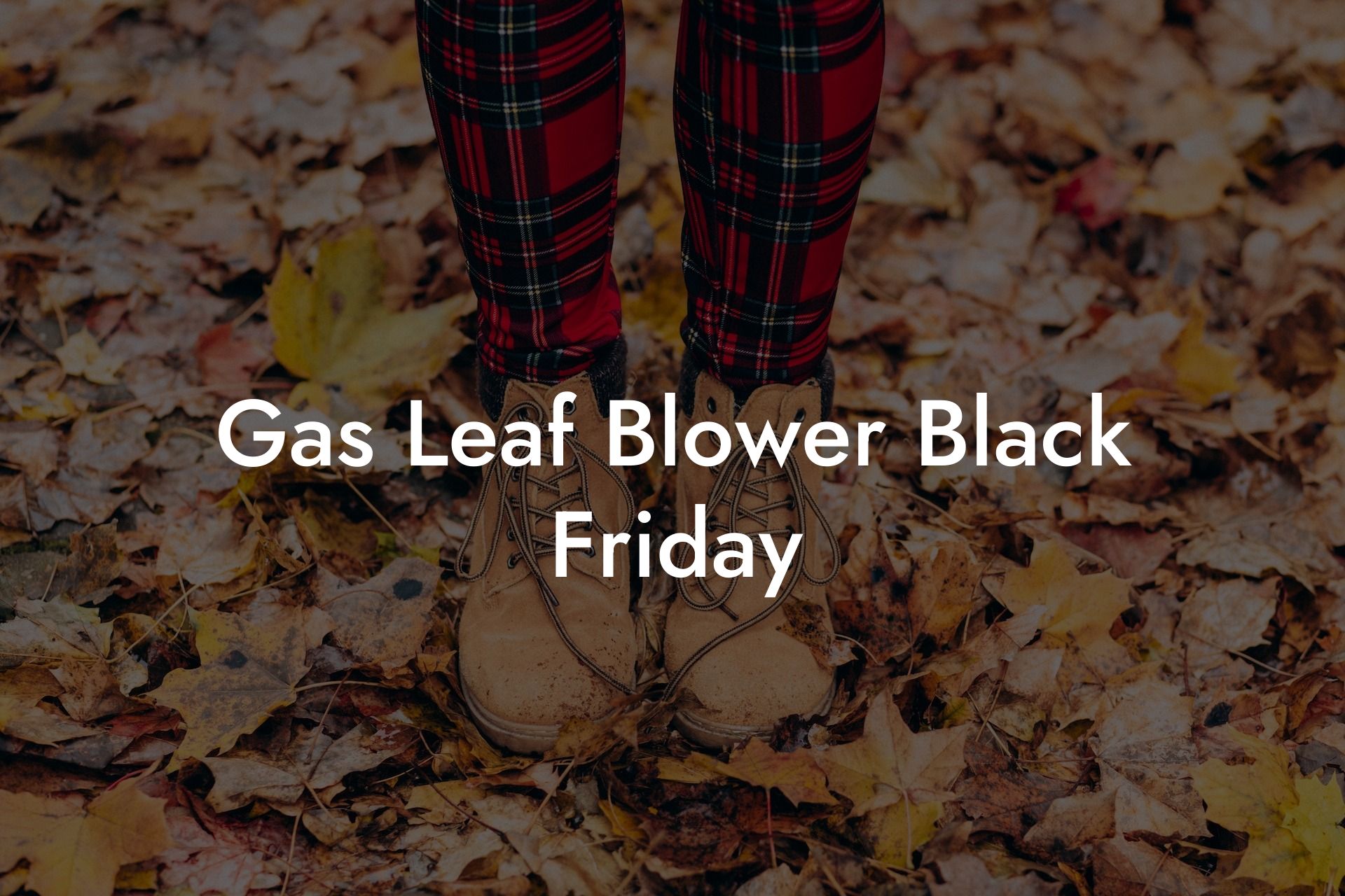 Gas Leaf Blower Black Friday