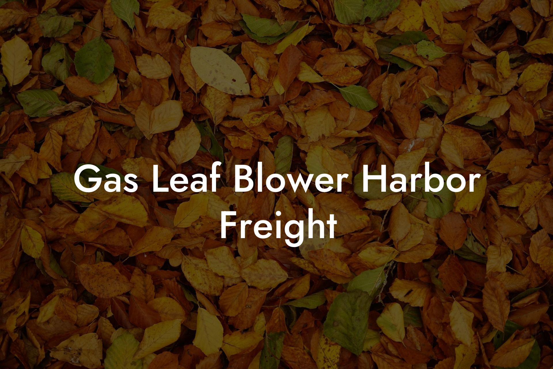 Gas Leaf Blower Harbor Freight