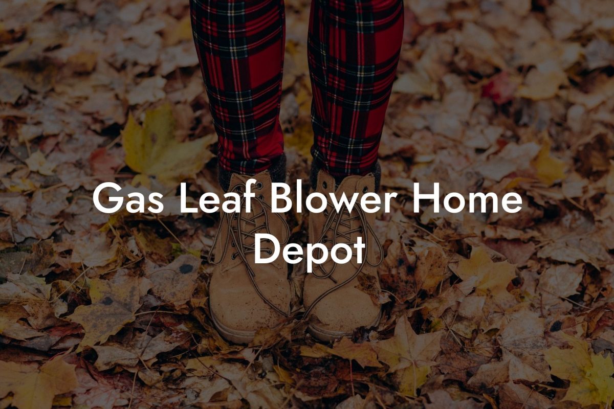 Gas Leaf Blower Home Depot