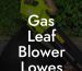 Gas Leaf Blower Lowes