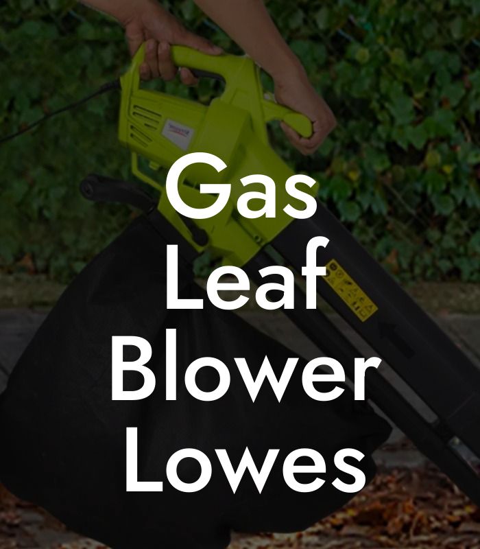 Gas Leaf Blower Lowes