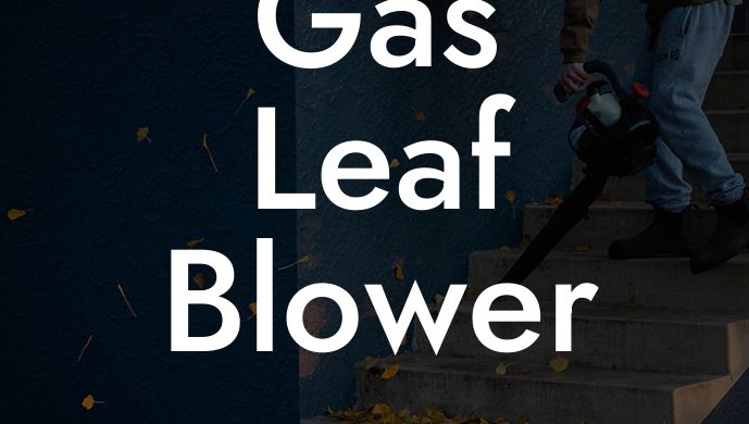 Gas Leaf Blower on Sale