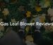 Gas Leaf Blower Reviews