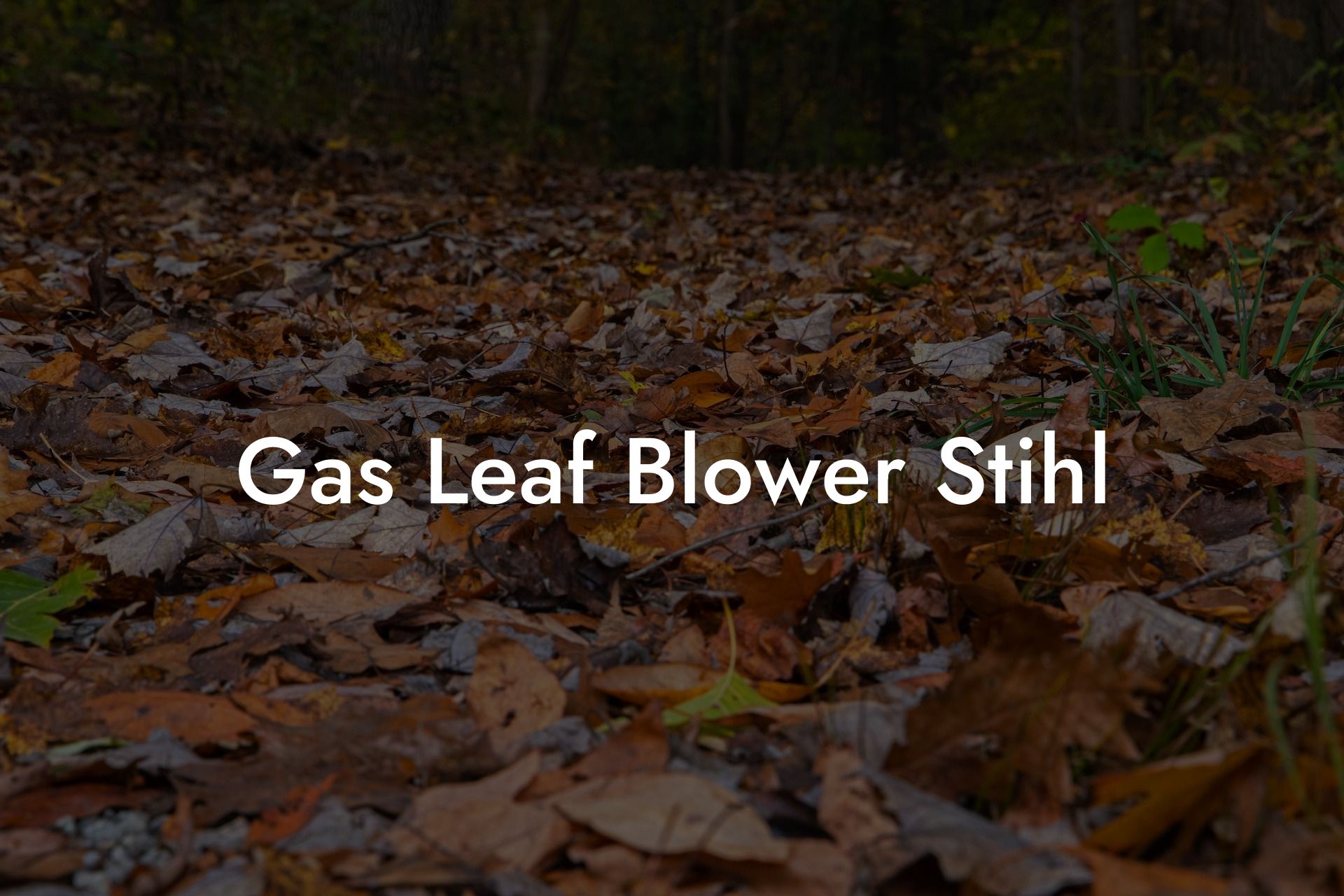 Gas Leaf Blower Stihl