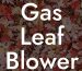 Gas Leaf Blower Vacuum