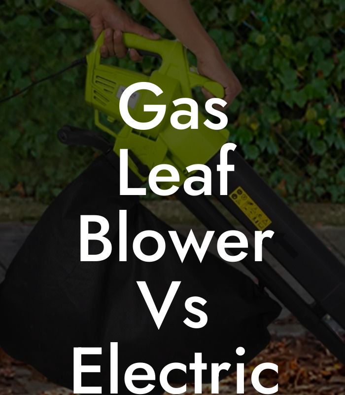 Gas Leaf Blower Vs Electric