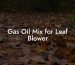 Gas Oil Mix for Leaf Blower