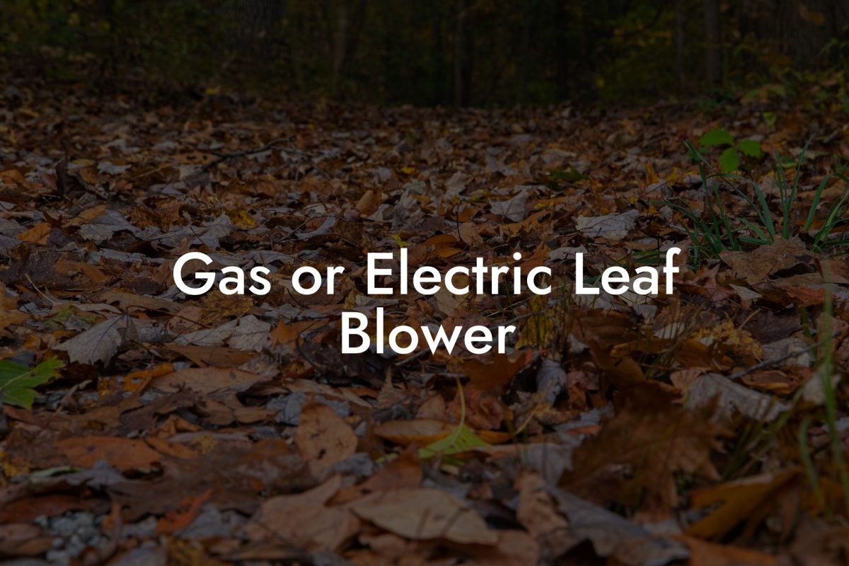 Gas or Electric Leaf Blower