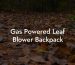 Gas Powered Leaf Blower Backpack