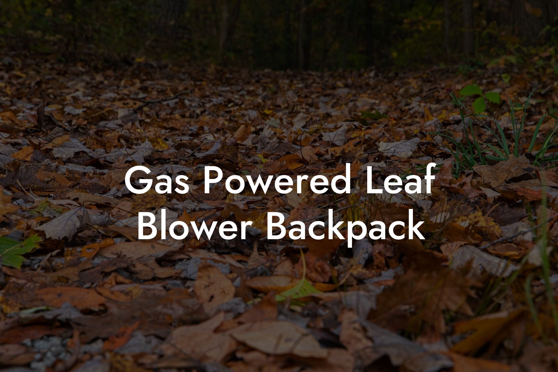 Gas Powered Leaf Blower Backpack