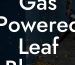 Gas Powered Leaf Blower Ban