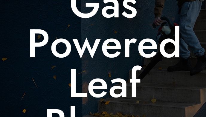 Gas Powered Leaf Blower Ban