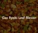 Gas Ryobi Leaf Blower